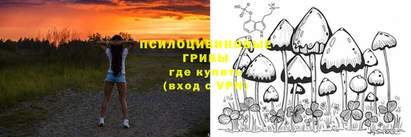 бутират Алзамай